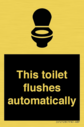 this-toilet-flushes-automatically~